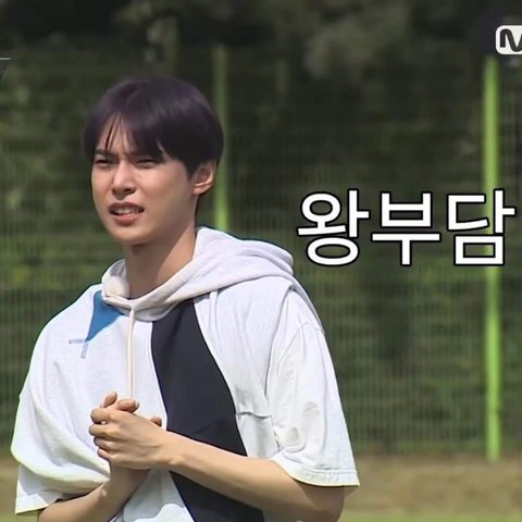 오쏘 이미지