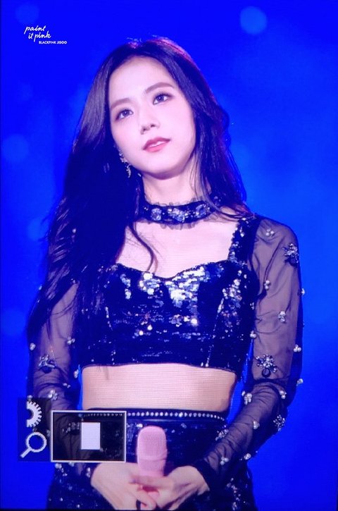 [enter-talk] JISOO WHO HAD THE BEST VISUALS YET TODAY ~ PANN좋아!