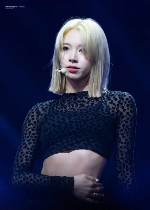 Pann: Kiểu tóc mới của Twice Chaeyoung thật độc nhất vô nhị