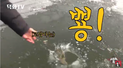 직업 만족도 1위 새로운 유튜버