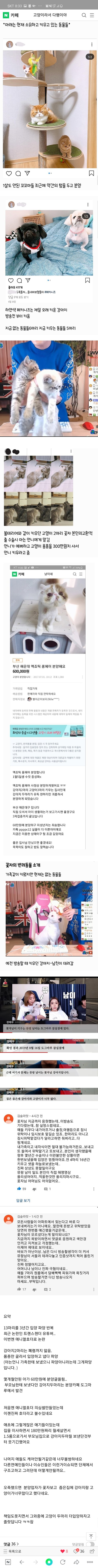 꽃자 소름돋는다진짜 ㅋㅋㅋ애니멀호더까지 | 네이트 판