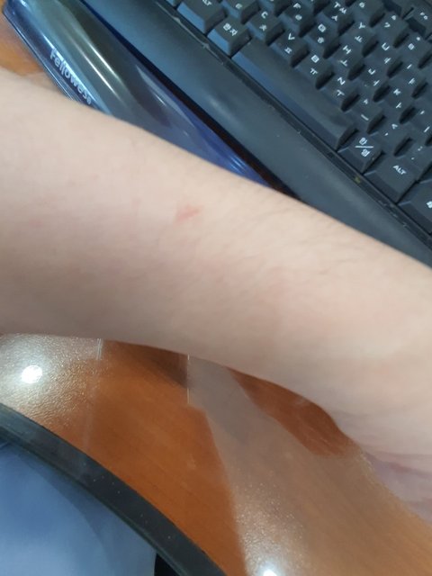 download.jsp?FileID=54270331