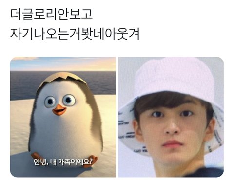 마쿠 너무 동숲주민 ㅠㅠㅠㅠㅠㅠㅠ | 네이트 판
