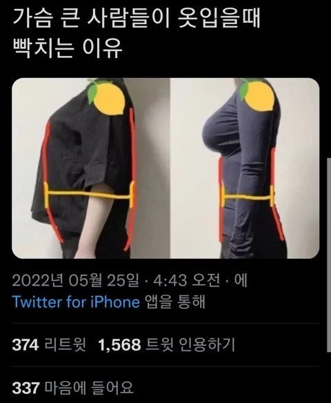 가슴 큰 사람들이 옷입을때 빡치는 이유. | 네이트 판