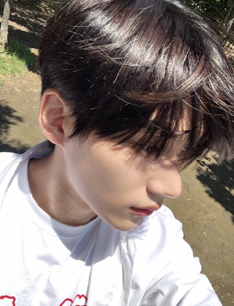 박한빈 효자임