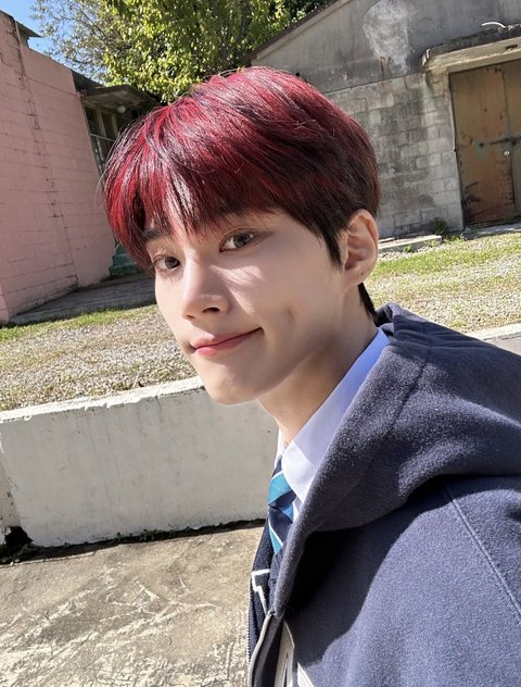 박한빈 효자임