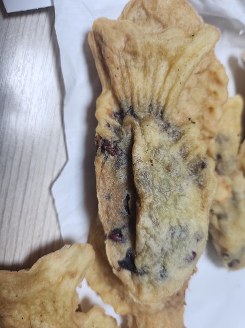 붕어빵 실환가요..,?