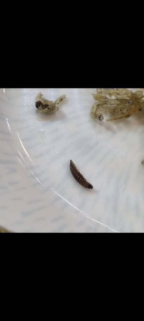 음식점에서 나왔는데 먹어도 되는건가요?