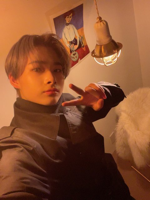 엔하이픈 니키 오리에서 퓨마됨ㅠㅠㅠ