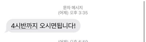 제발 읽어주세요. 애견샵 미용중 강아지 귀가 잘렸어요. 학대로 의심되는 멍과 함께