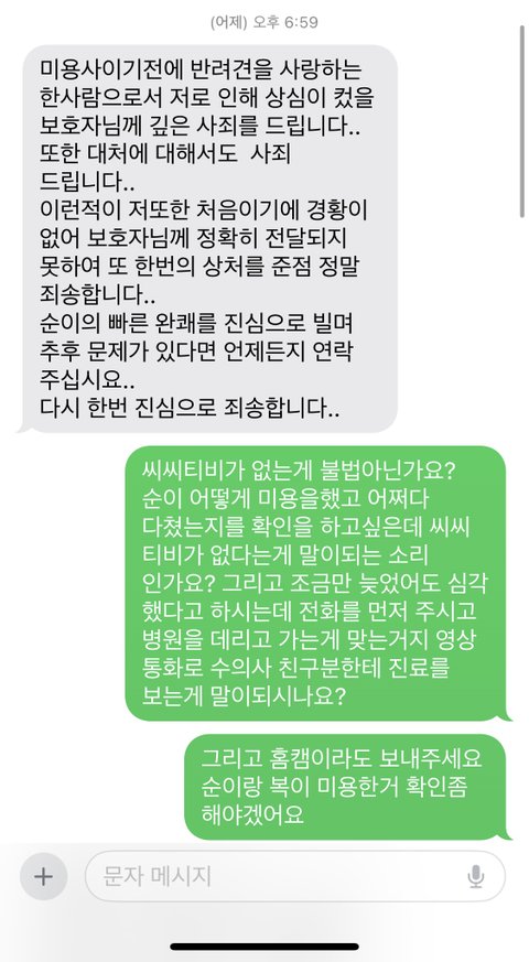 제발 읽어주세요. 애견샵 미용중 강아지 귀가 잘렸어요. 학대로 의심되는 멍과 함께