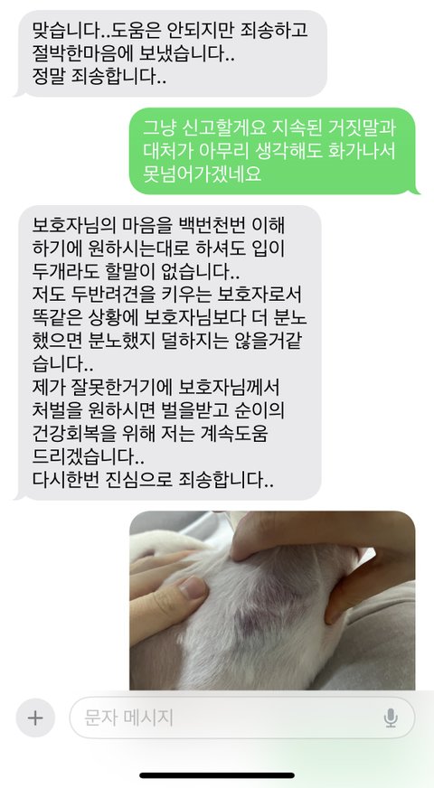 제발 읽어주세요. 애견샵 미용중 강아지 귀가 잘렸어요. 학대로 의심되는 멍과 함께