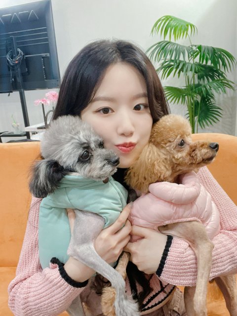 아이들 슈화 이 짤보고 개충격 받았어 ㄷㄷㄷ