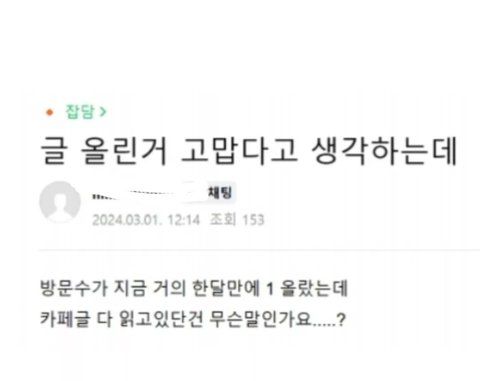 진자림 이거 뭐냐