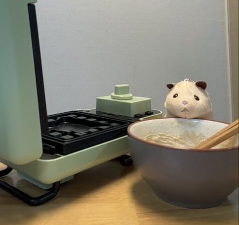 성한빈 쿠킹 라이브 요약