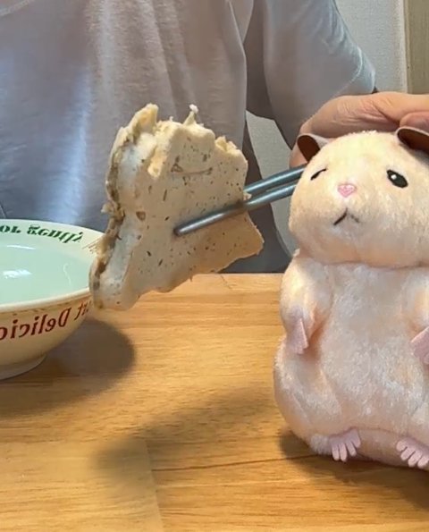 성한빈 쿠킹 라이브 요약