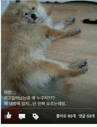 지하102호 이미지
