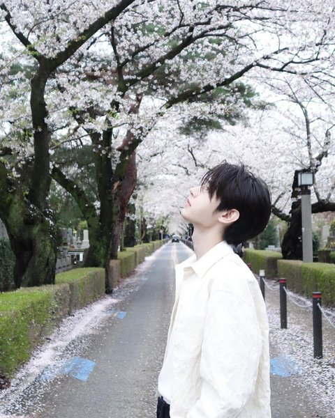 엔하이픈 성훈 벚꽃남친짤 올리고 한 말