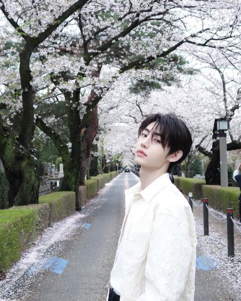 엔하이픈 성훈 벚꽃남친짤 올리고 한 말