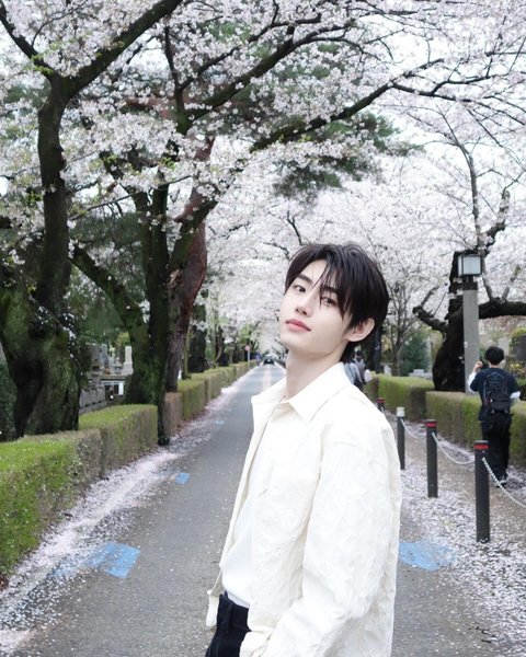 엔하이픈 성훈 벚꽃남친짤 올리고 한 말