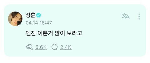 엔하이픈 성훈 벚꽃남친짤 올리고 한 말