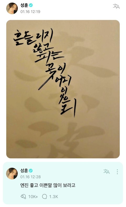 엔하이픈 성훈 벚꽃남친짤 올리고 한 말