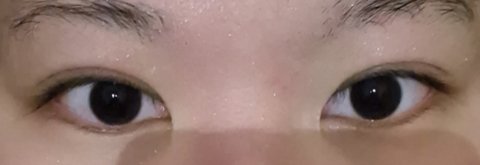 나 뒷밑트임 할말 좀 봐줘