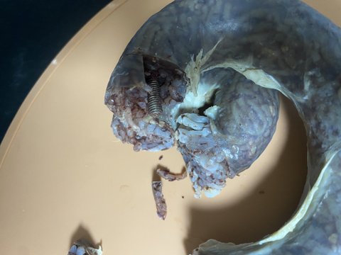 요즘 마트 순대 수준