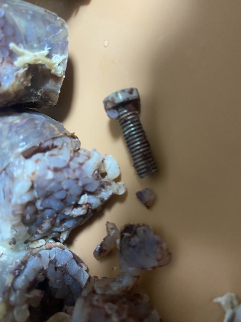 요즘 마트 순대 수준