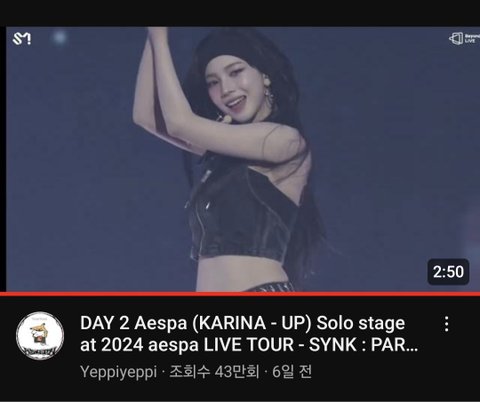 카리나,윈터 솔로곡 조회수 차이