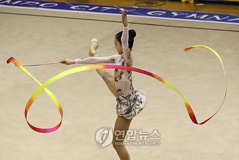손연재 리듬체조복