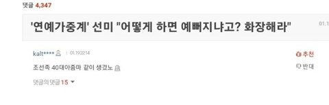 선미 악플러