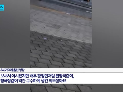 콘서트 번따남 갸웃기네