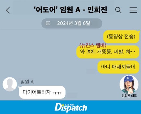 이것도 다 뉴진스한테 하는 말이라는거잖아