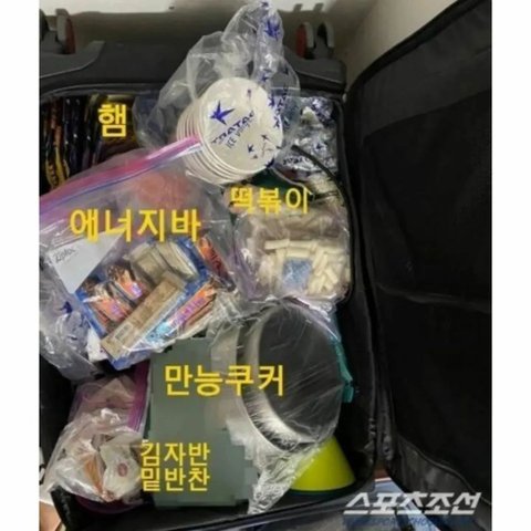 신유빈 이거 뭐냐?