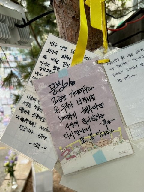 방금 올라온 세븐틴 부승관 인스타 봤어?