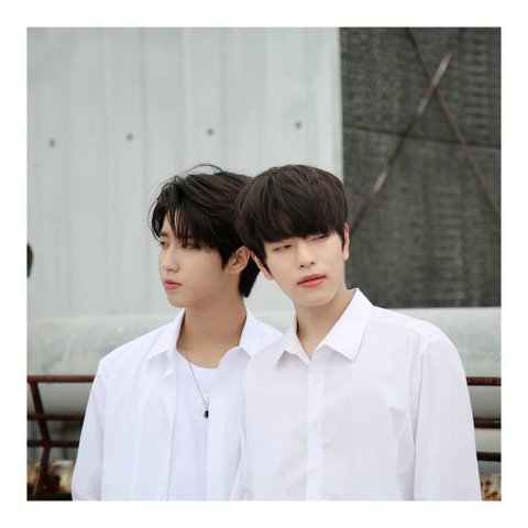 스키즈 데이식스 커버 보는데