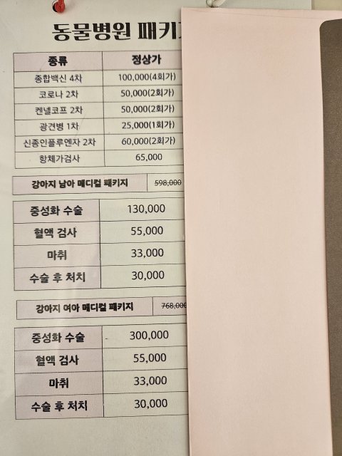 애견분양으로 문의 드립니다