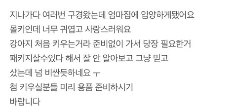 애견분양으로 문의 드립니다