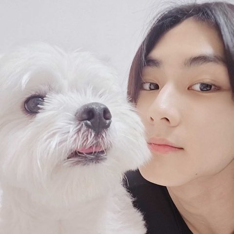 양정원 위버스 프사ㅠㅠㅠ