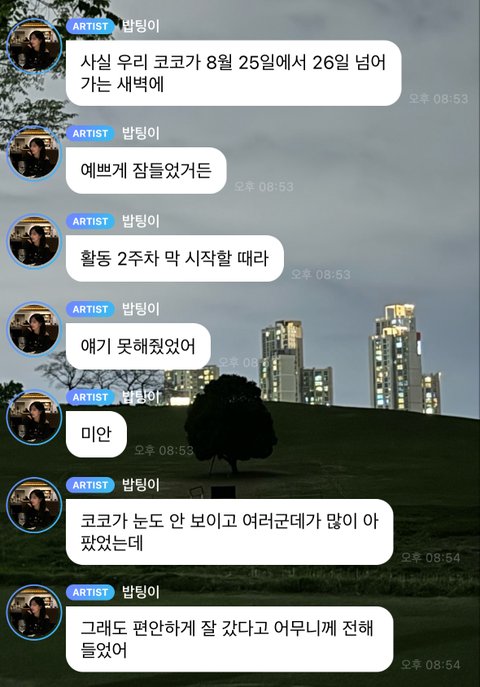 올해 엔믹스 활동기때 오해원 반려견 무지개다리 건넘..