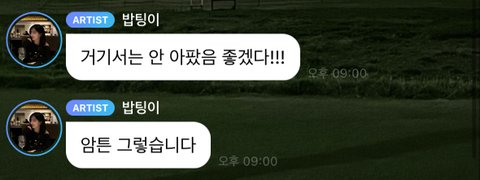 올해 엔믹스 활동기때 오해원 반려견 무지개다리 건넘..