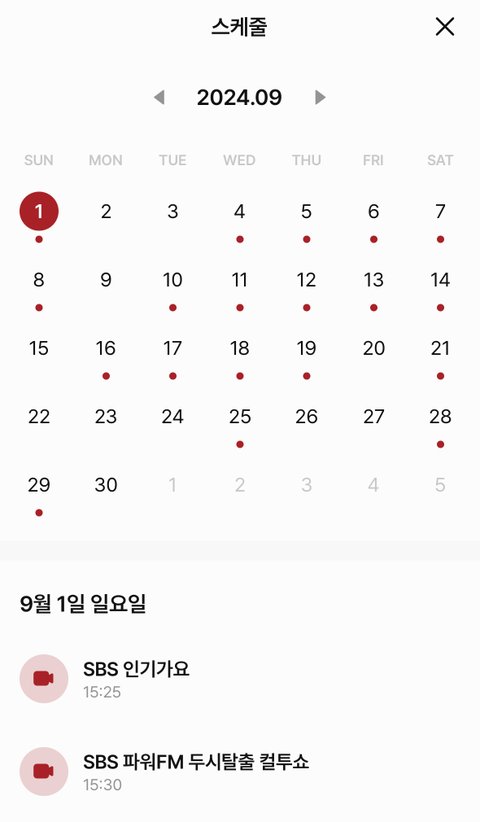 올해 엔믹스 활동기때 오해원 반려견 무지개다리 건넘..