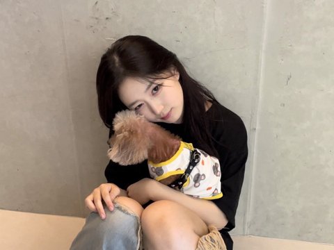 올해 엔믹스 활동기때 오해원 반려견 무지개다리 건넘..