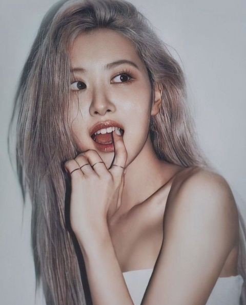 로제 분위기 진짜 개쩐다..