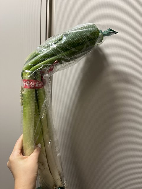 테트리스