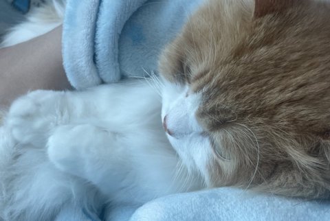 너무 이뻐서 자랑좀할게