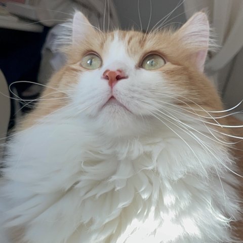 너무 이뻐서 자랑좀할게