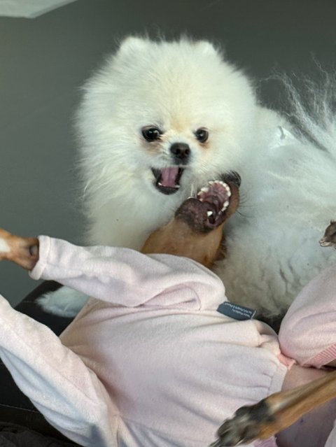 건떵잉