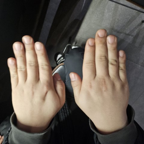 손모양 대결